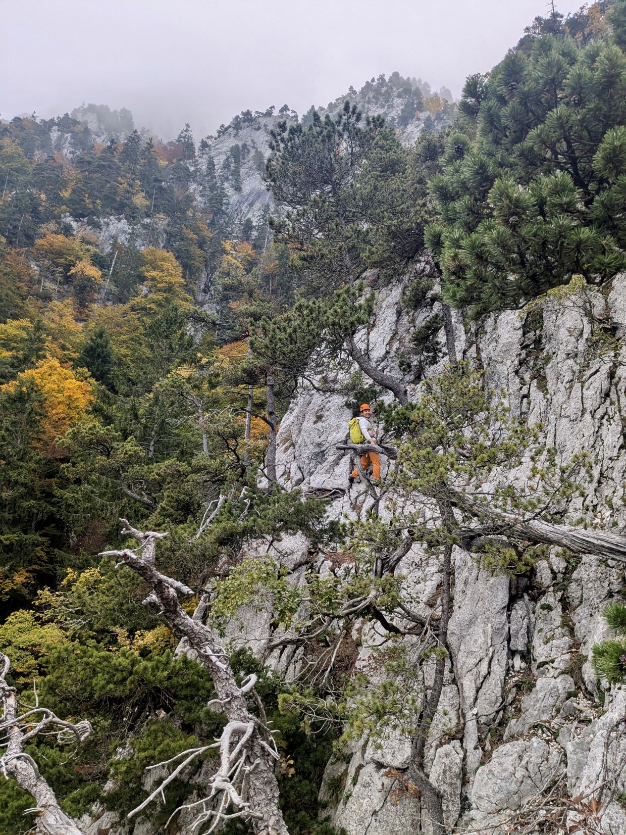 Südgrat – Balmflue